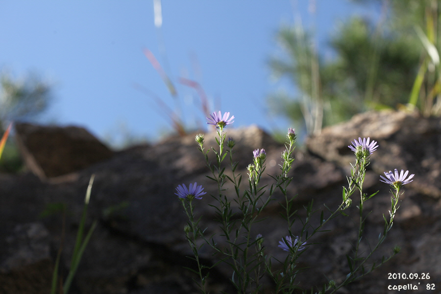 0926-11-1.JPG