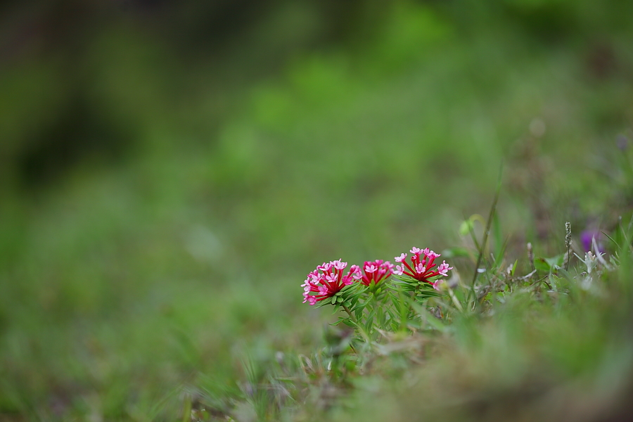 _0997.JPG