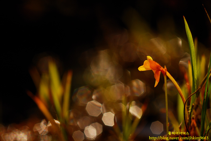 DSC_1381.jpg