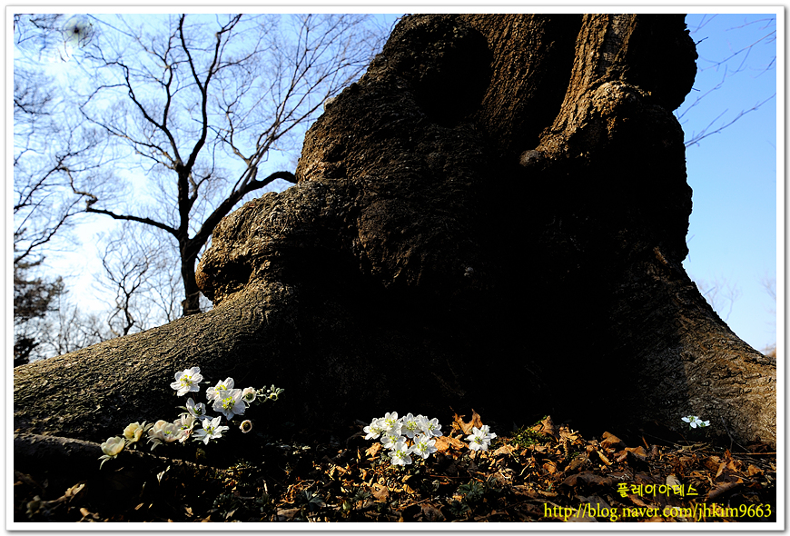 DSC_9267.jpg