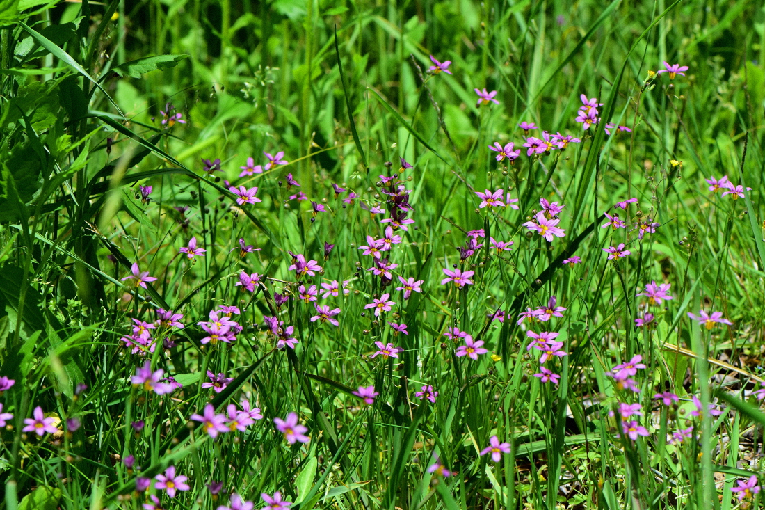 DSC_1510.JPG