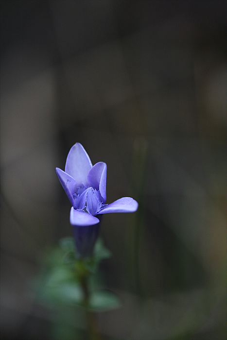 2009.09.19 282.jpg