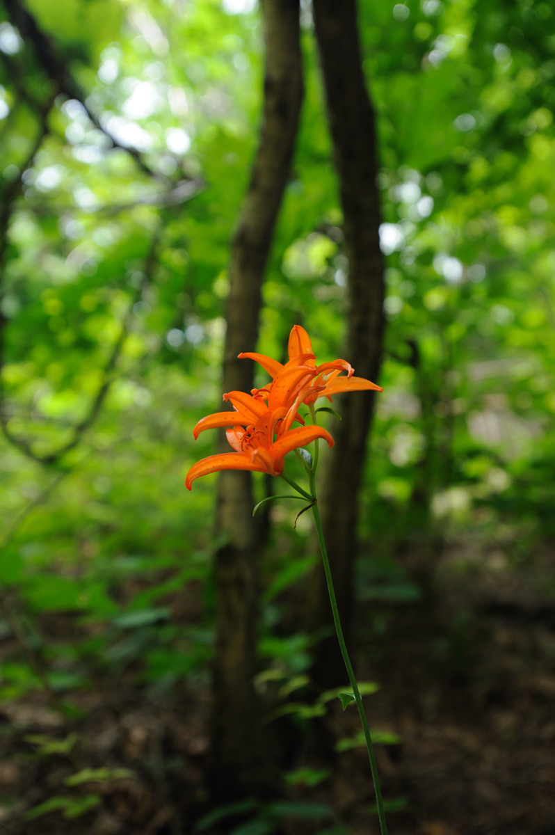 DSC_8924.jpg