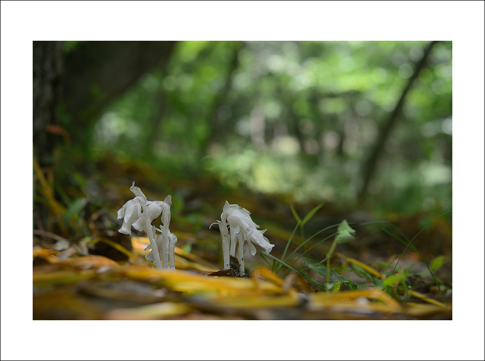 DSC_3753.jpg