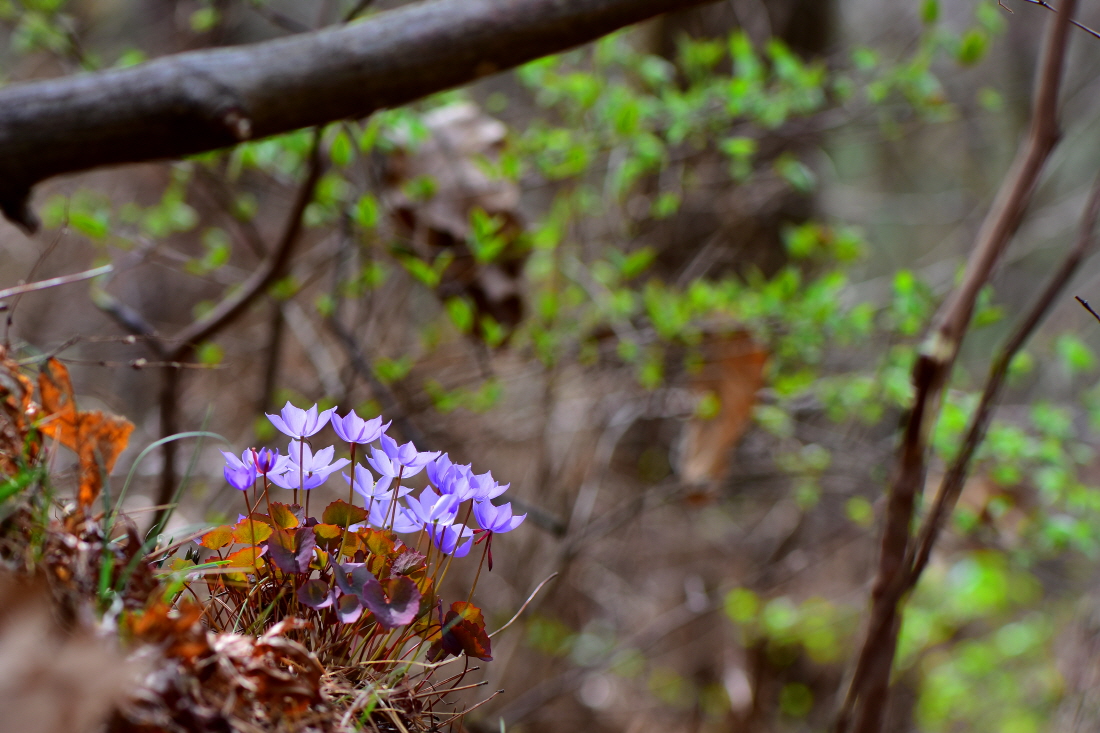 DSC_3613.JPG