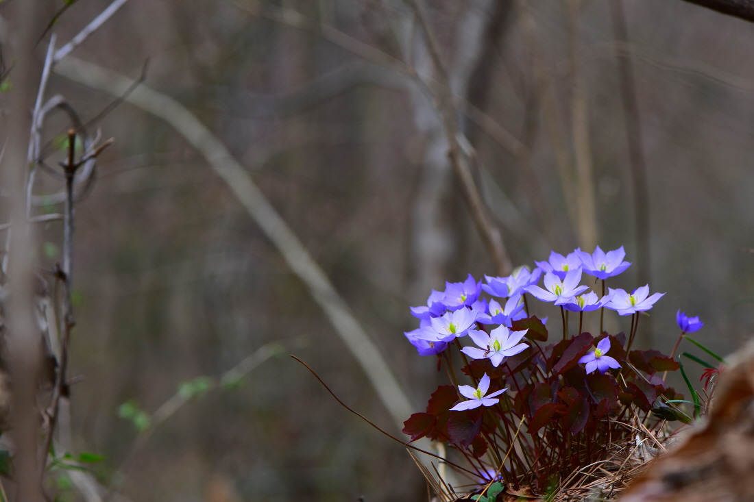 DSC_3832.JPG