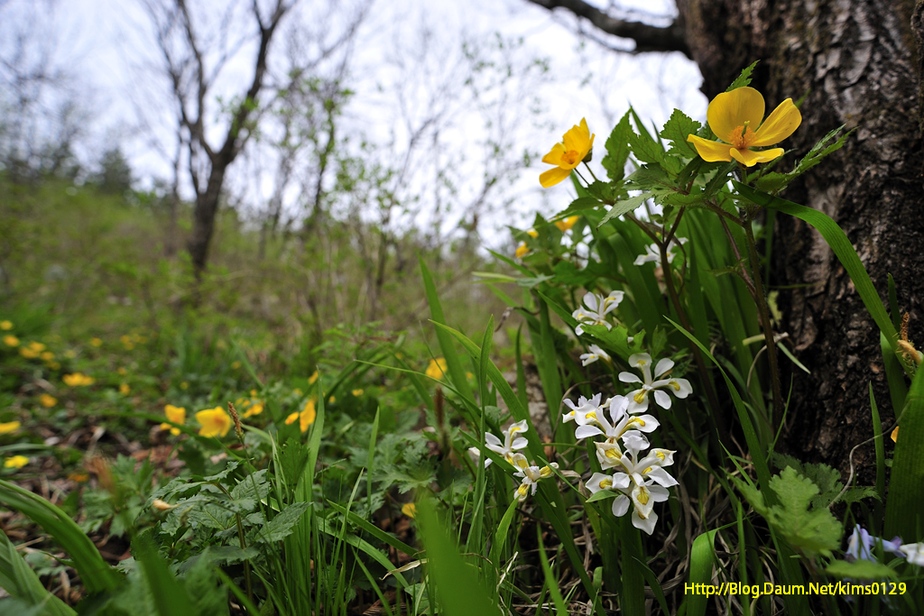 140426_110.jpg