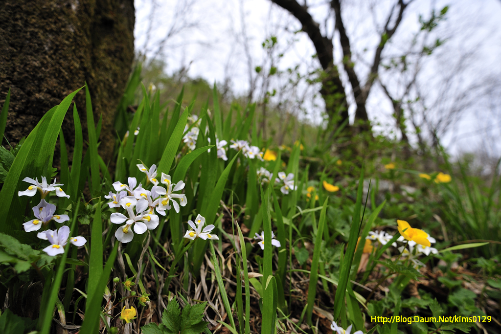 140426_113.jpg