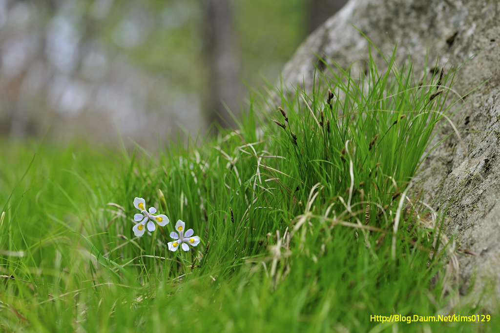140426_142.jpg