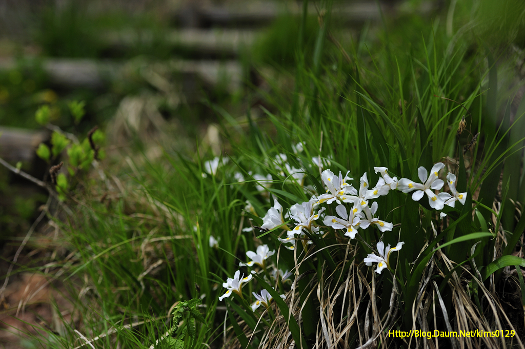 140426_063.jpg