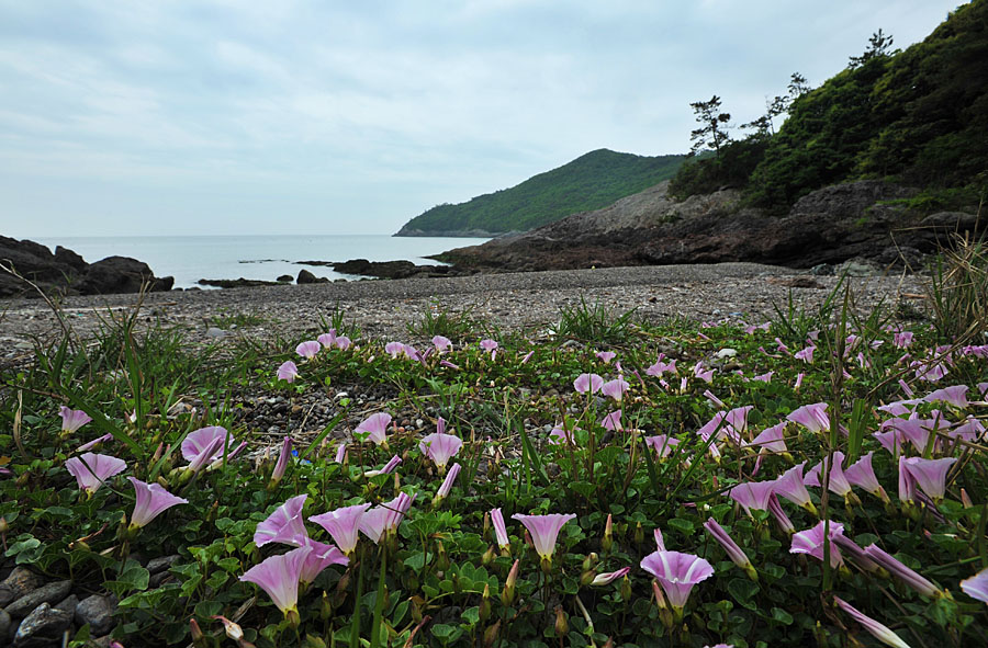 20110522_0013-1.jpg