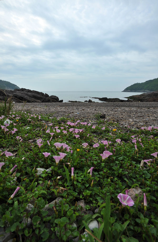 20110522_0010-1.jpg