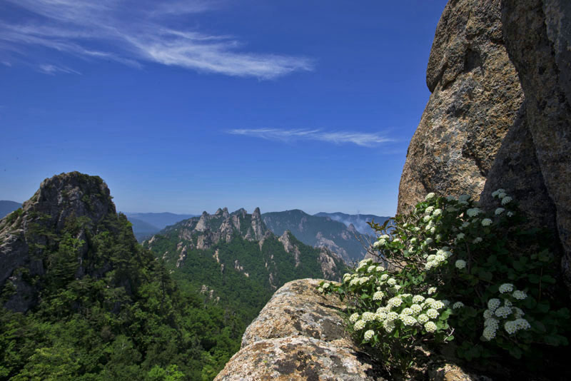 20130609_0097a-1.jpg