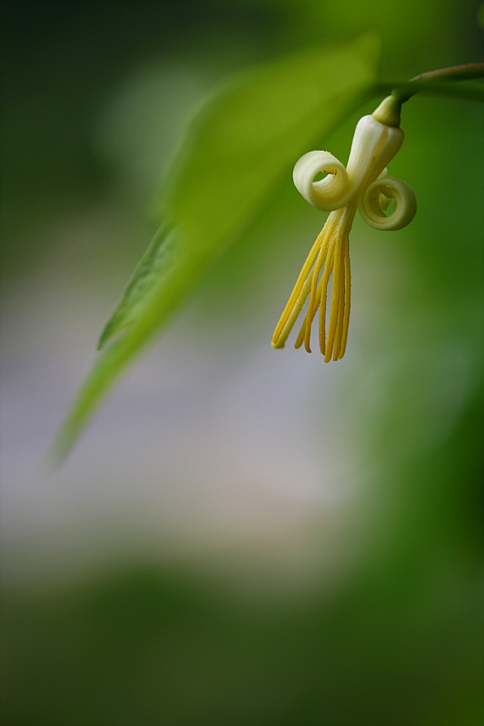 20090628 039.jpg