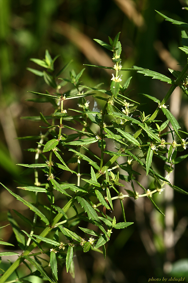 QH3S0382.jpg
