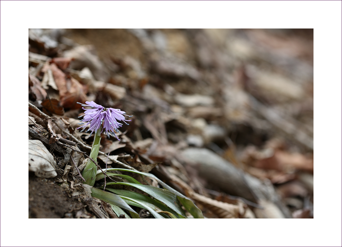 636A6388-1.jpg