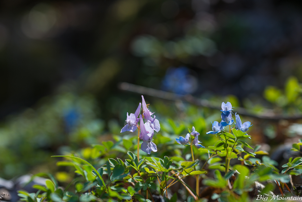 L1005545.jpg