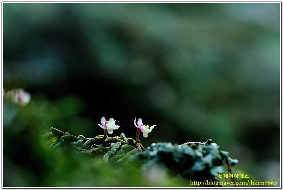 DSC_6432.jpg