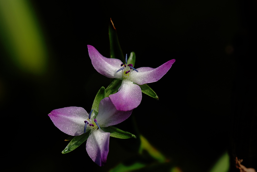 DSCF4772_2.jpg