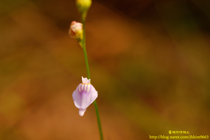 DSC_1308.jpg