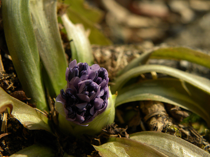 DSCN1722.jpg