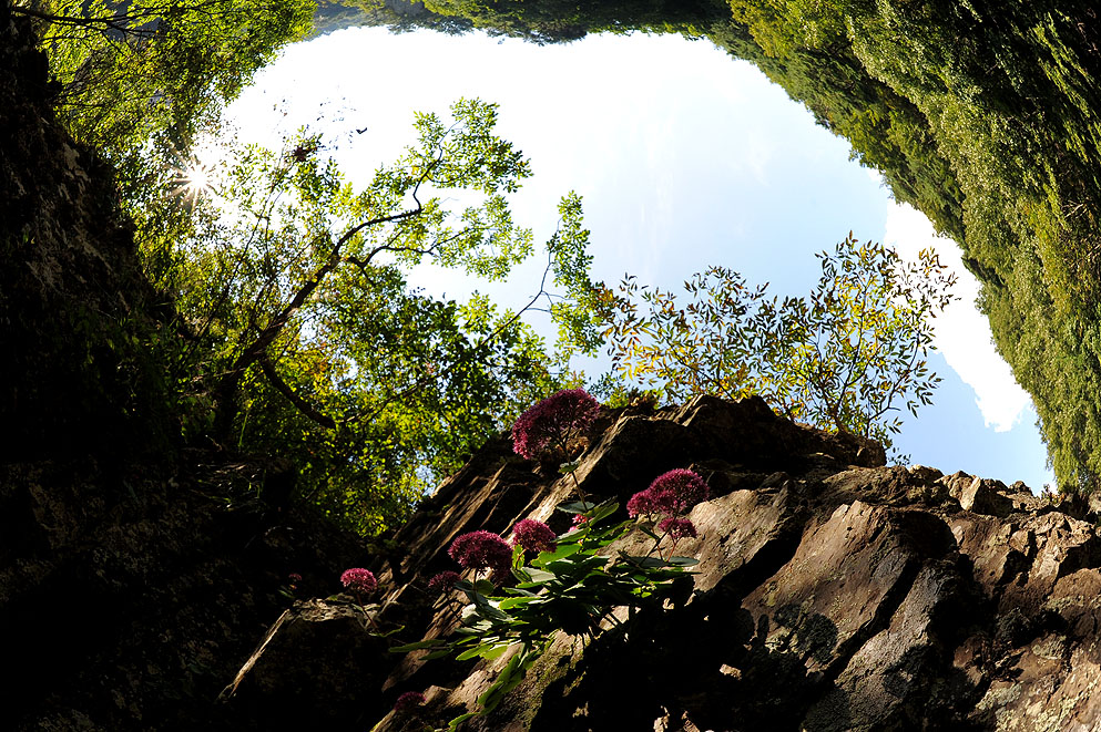 DSC_8987.jpg