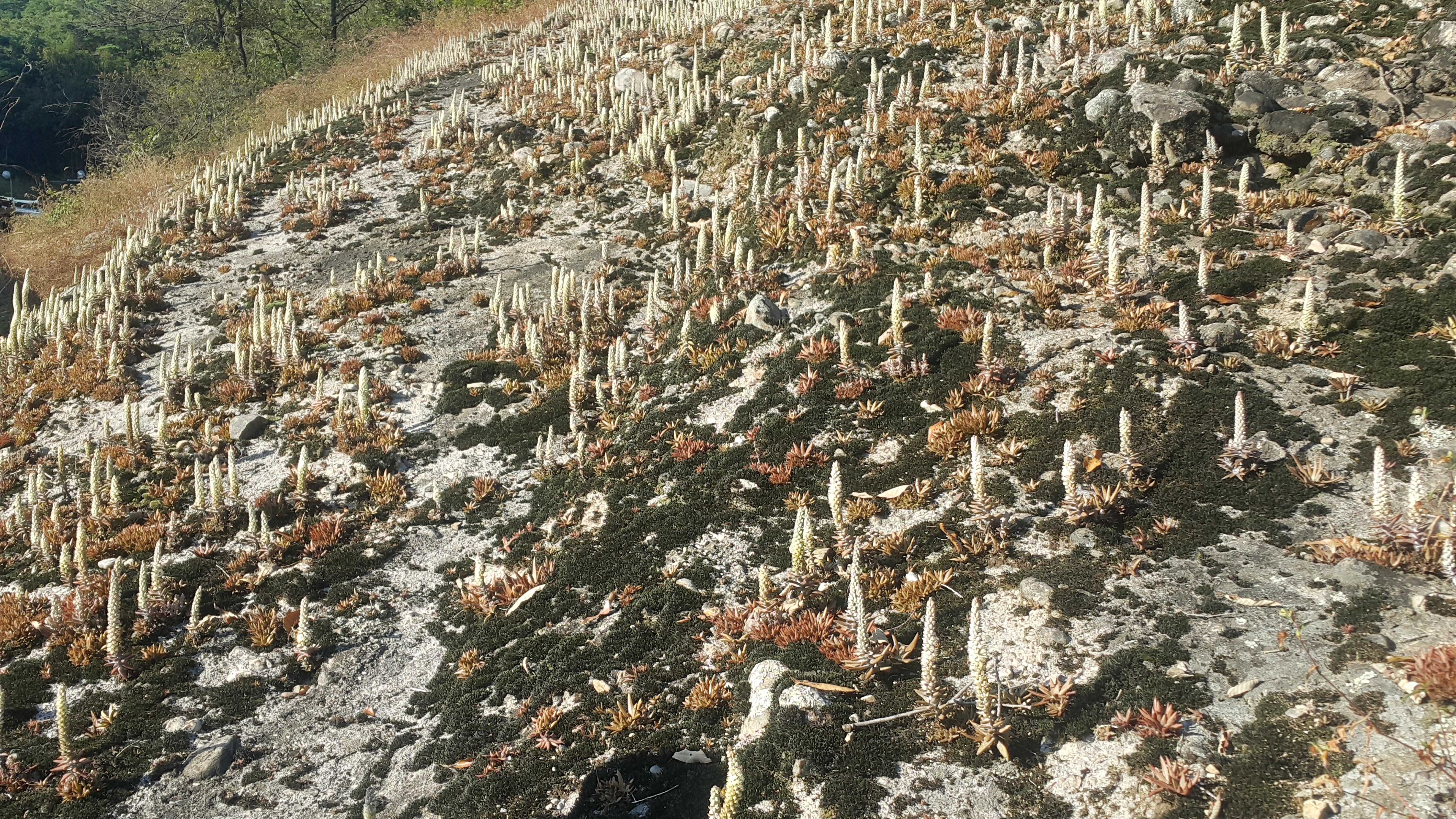 20171007_155940.jpg