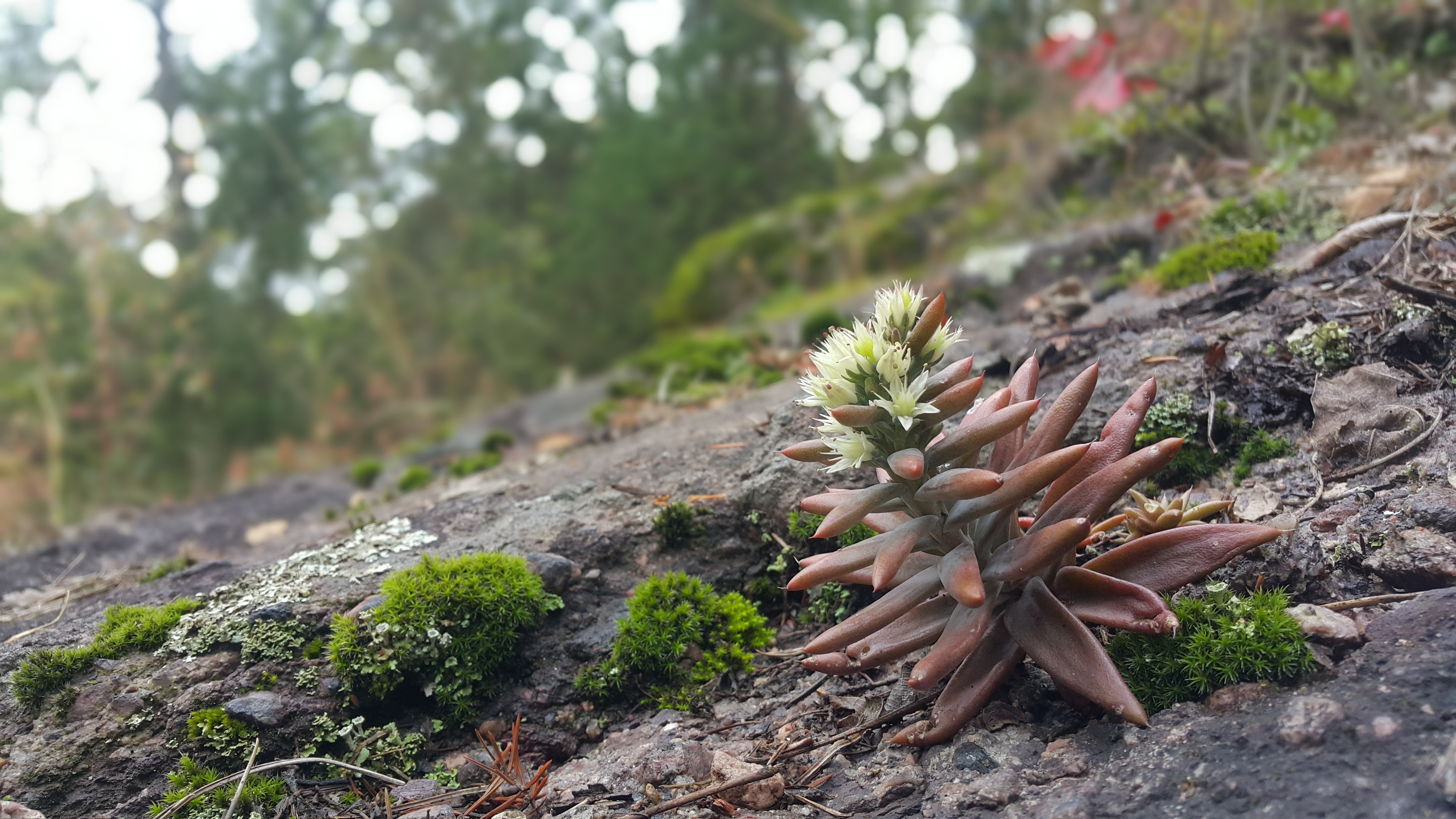 20171007_141010.jpg