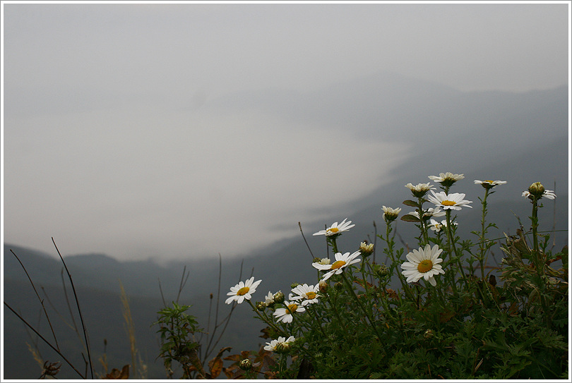 2016.09.25 도솔봉,덕산기 106.jpg