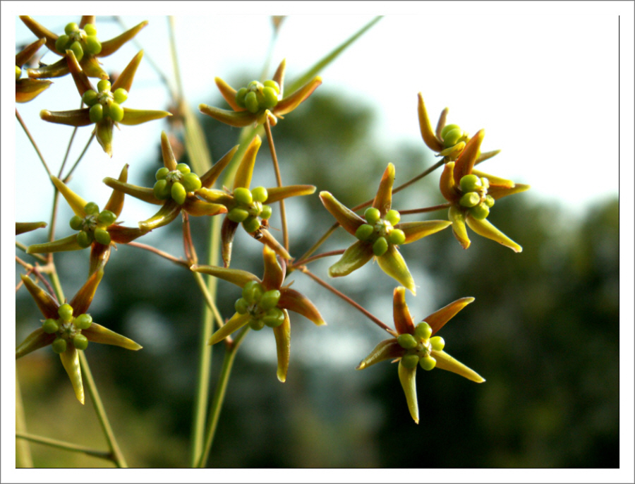 PICT0028.JPG