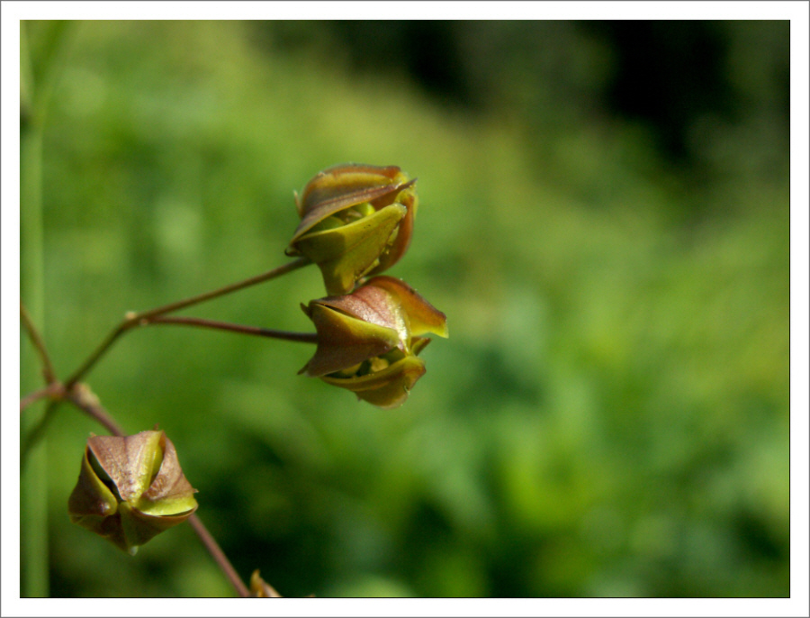 PICT0301.JPG