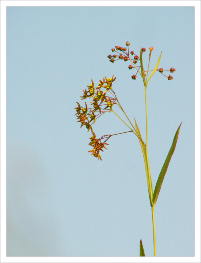 PICT0074.JPG