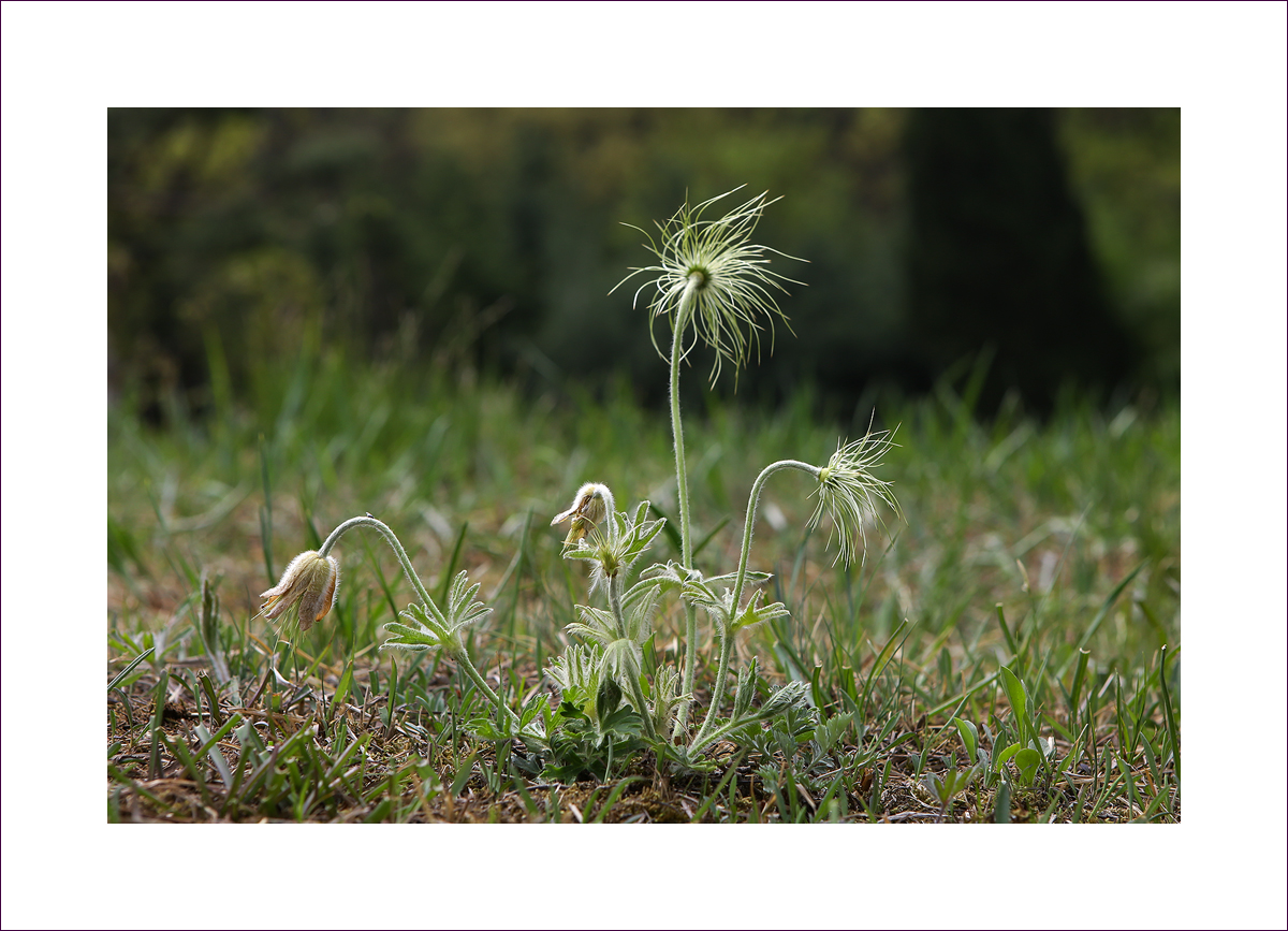 DURI0827-1.jpg