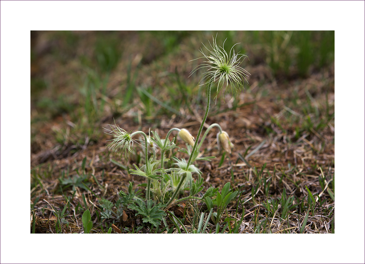 DURI0343-1.jpg