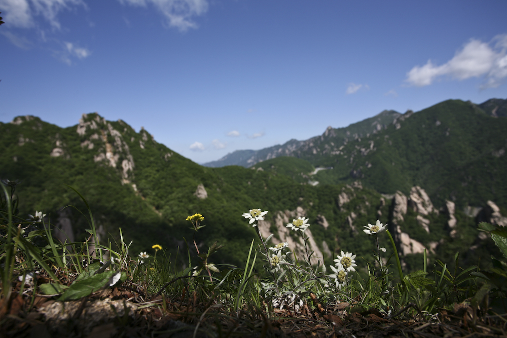 설악산09.6.11-17-1.jpg