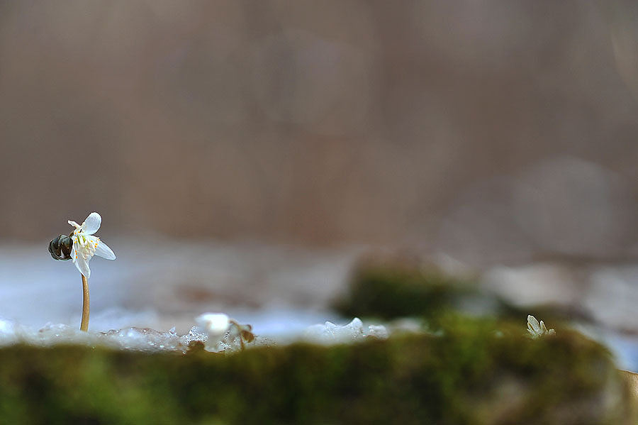 20120325_0050-1.jpg