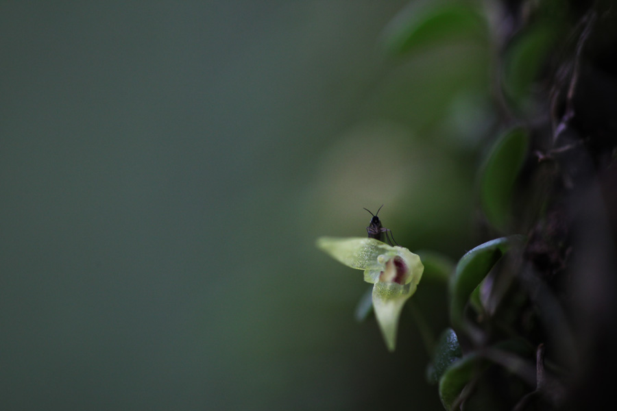 Raw00780-1.jpg