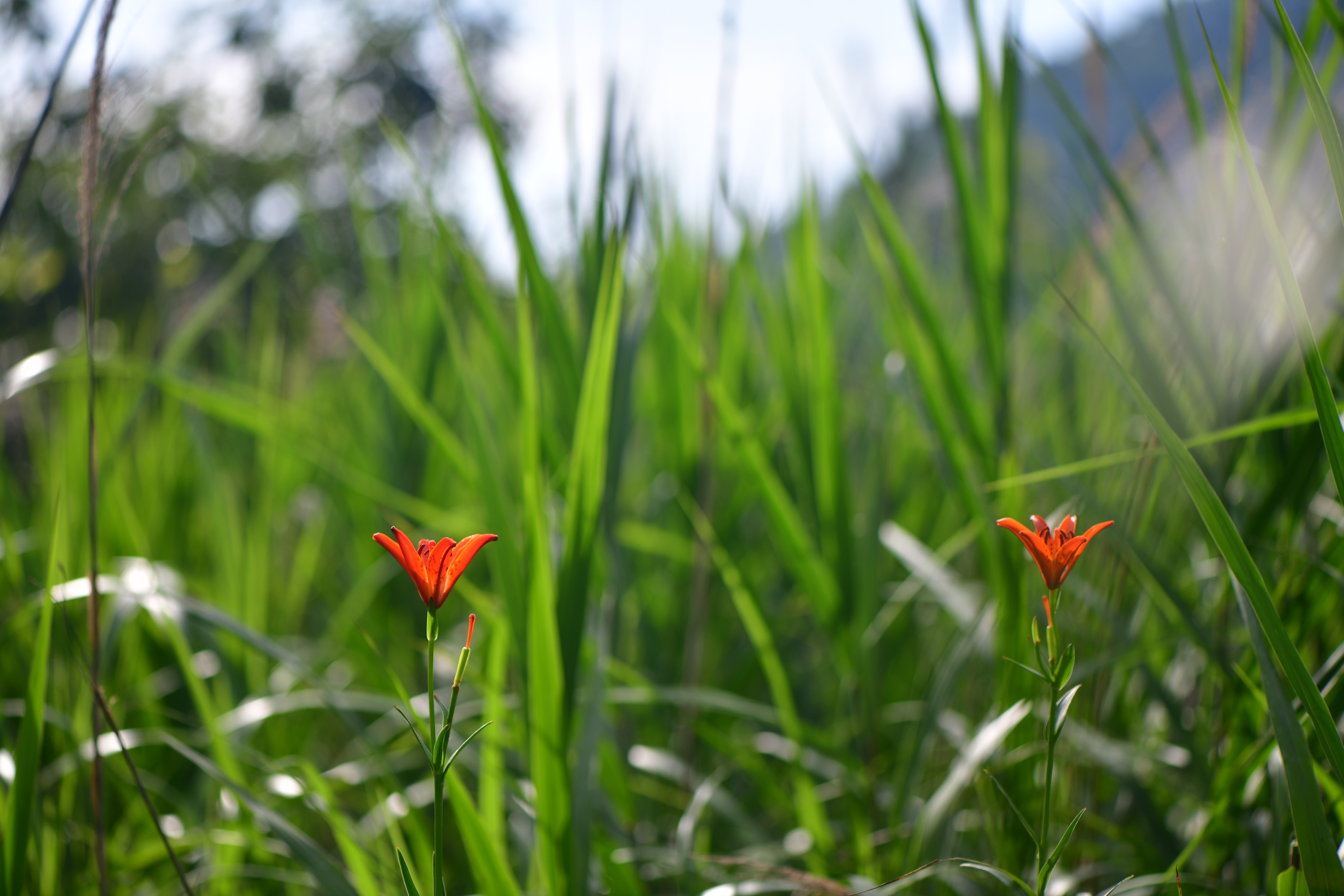 DSC_3102.JPG