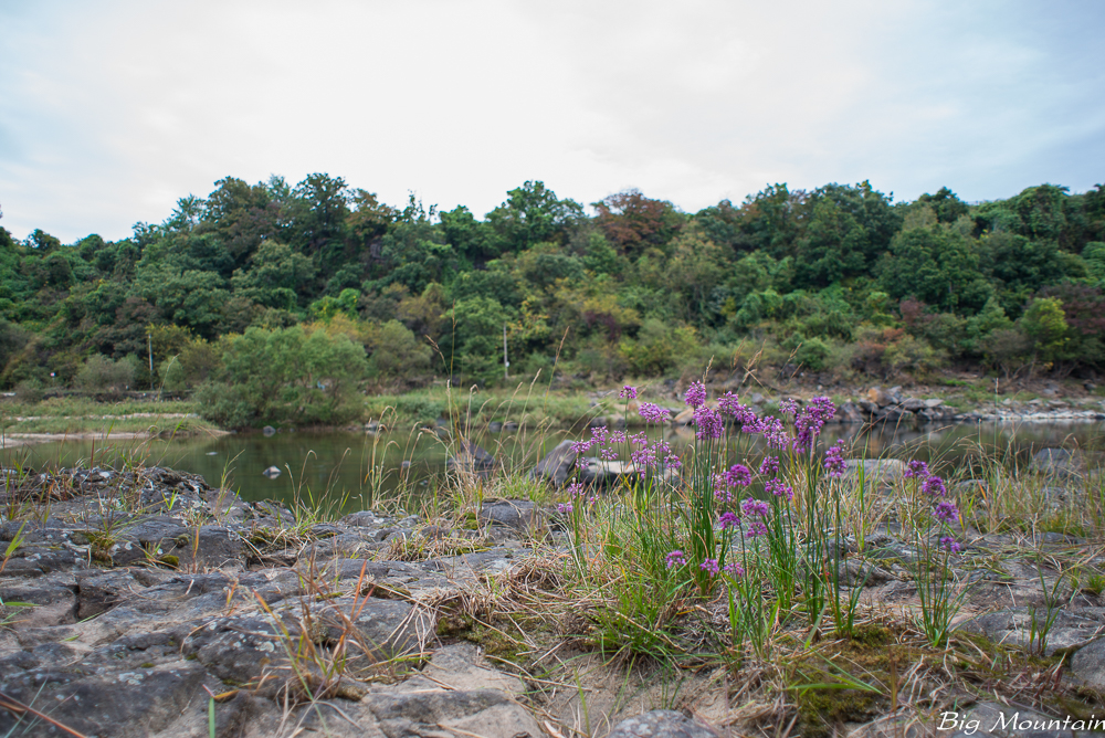 _DSC9463.jpg