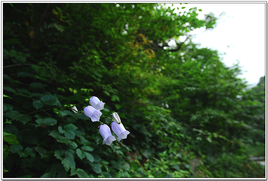 20100827_6398.jpg