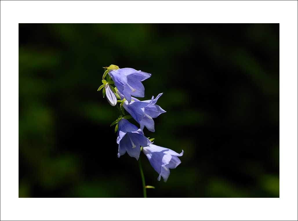 DSC_6434.jpg