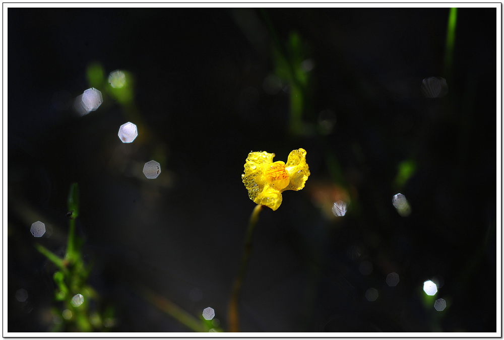 DSC_0947.jpg