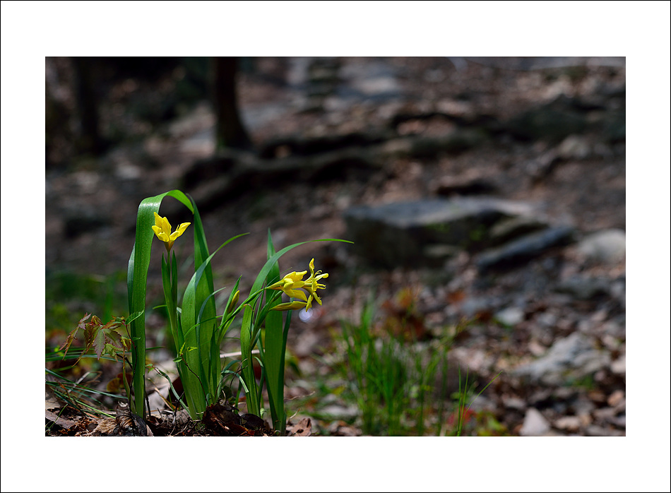 DSC_7040.jpg