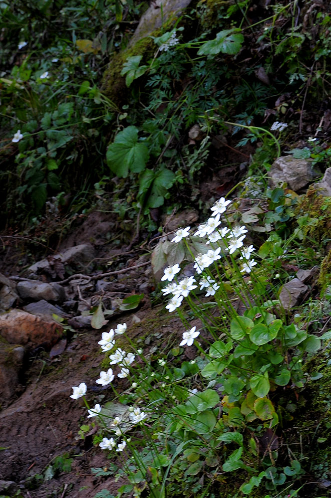 DSC_6469.jpg