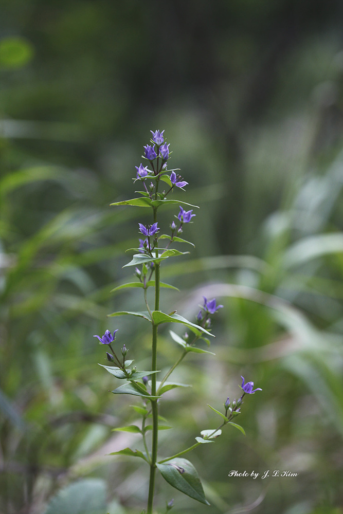 _MG_6398.jpg