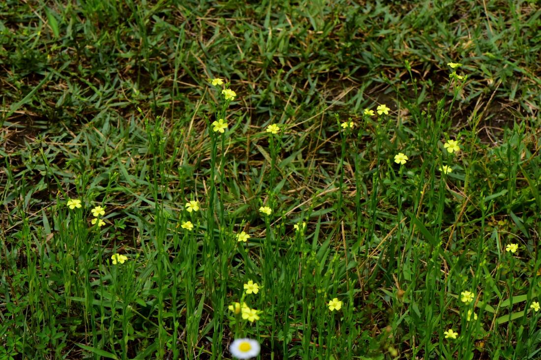 DSC_3180.JPG