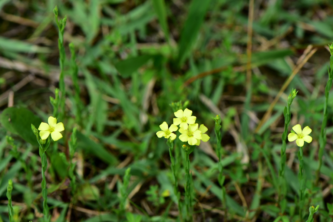 DSC_3193.JPG