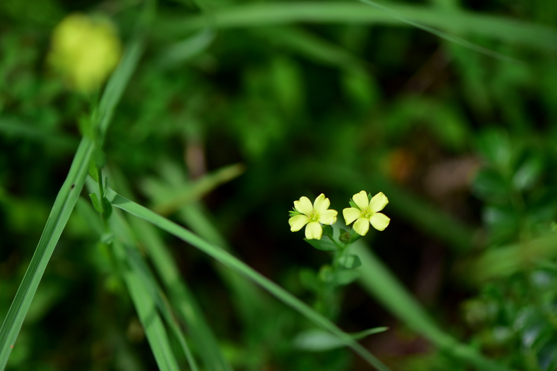 DSC_3156.JPG