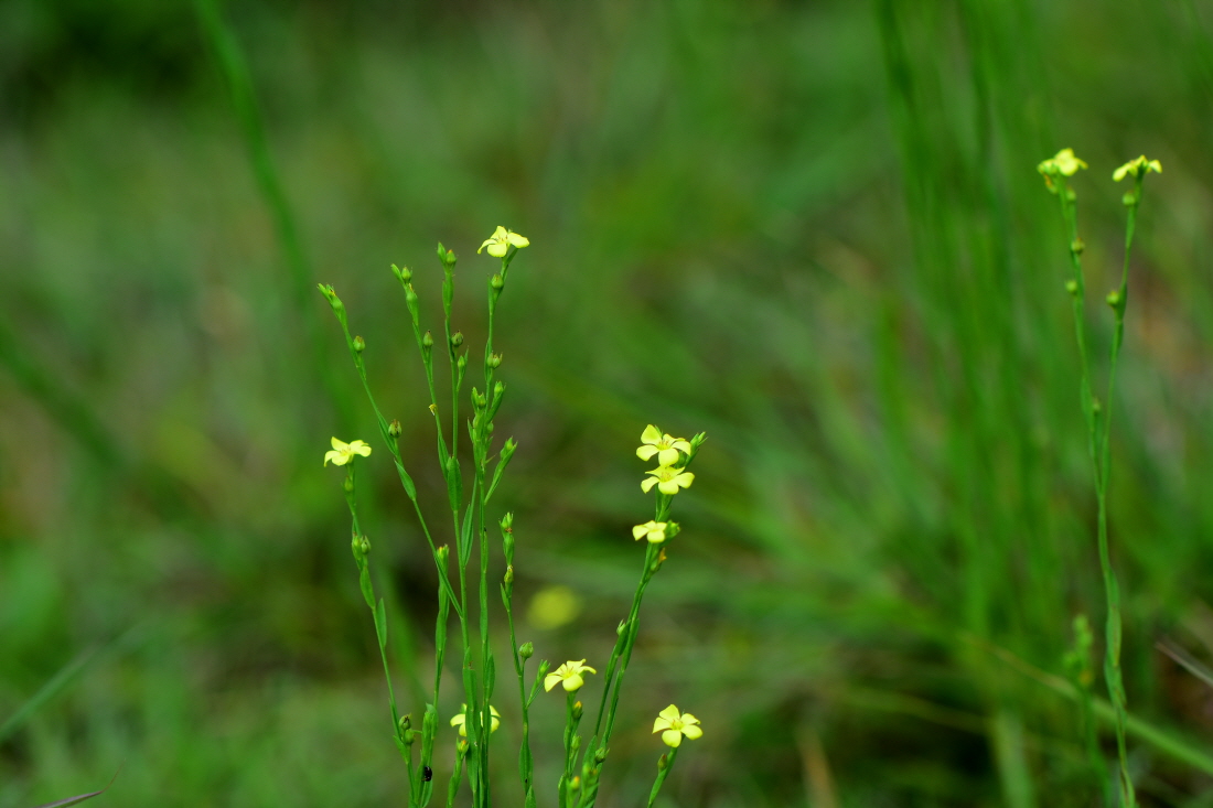 DSC_3073.JPG
