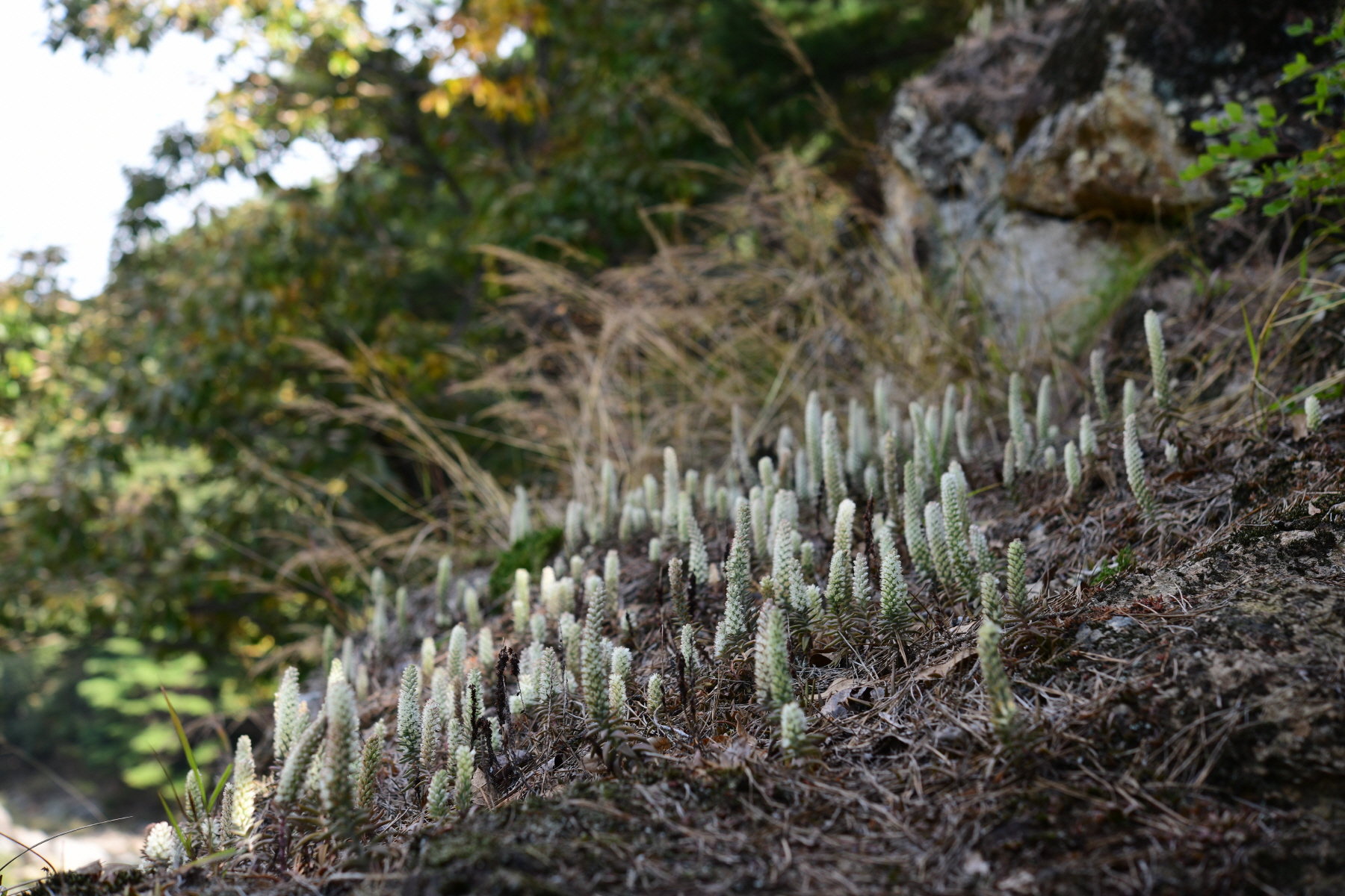 크기변환_DSC_2945.JPG